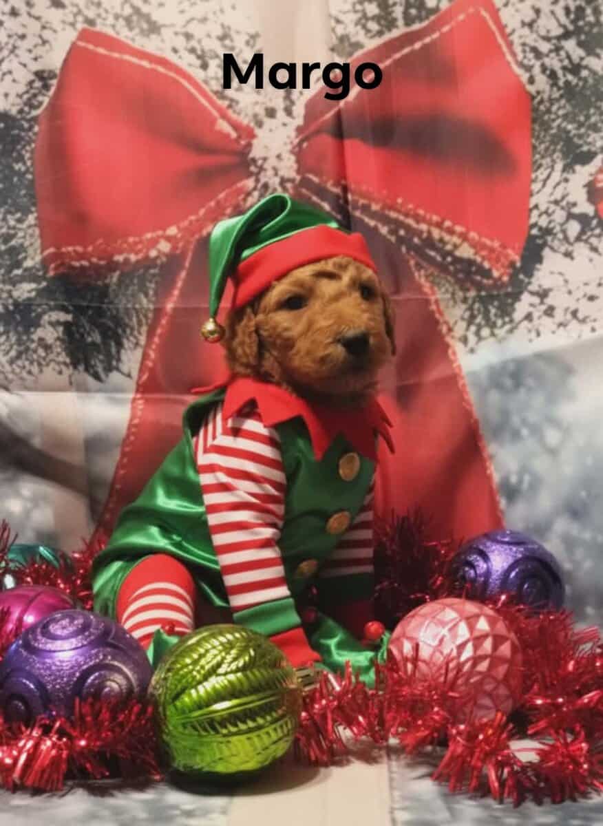 Eddie image 2