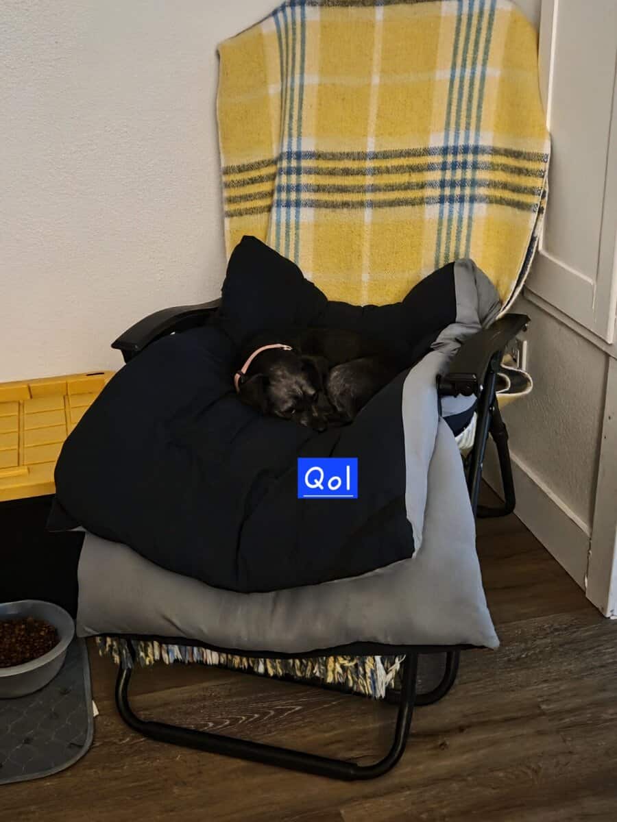 Looking for new home - Qol(Coal) image 9