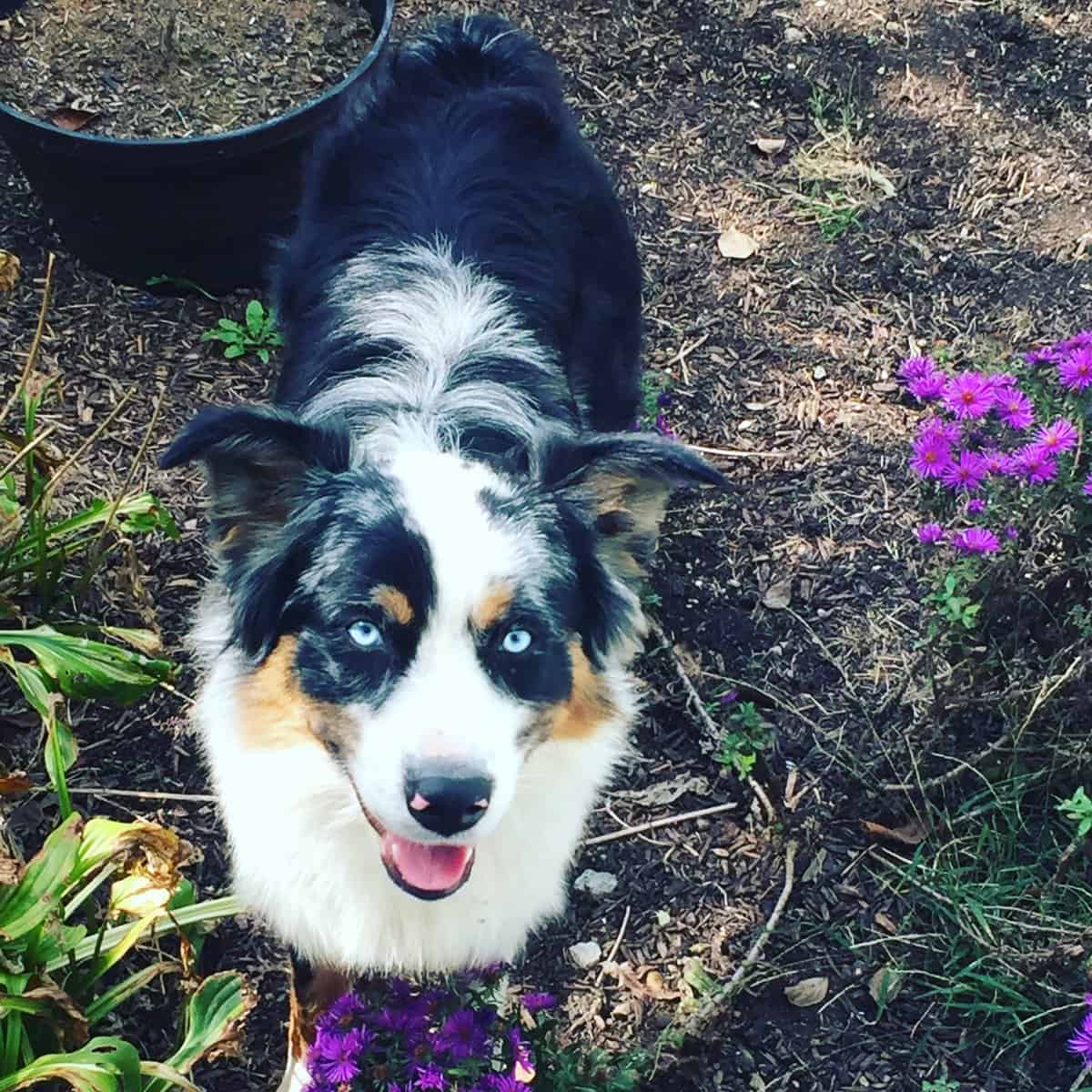 Ellie image 6
