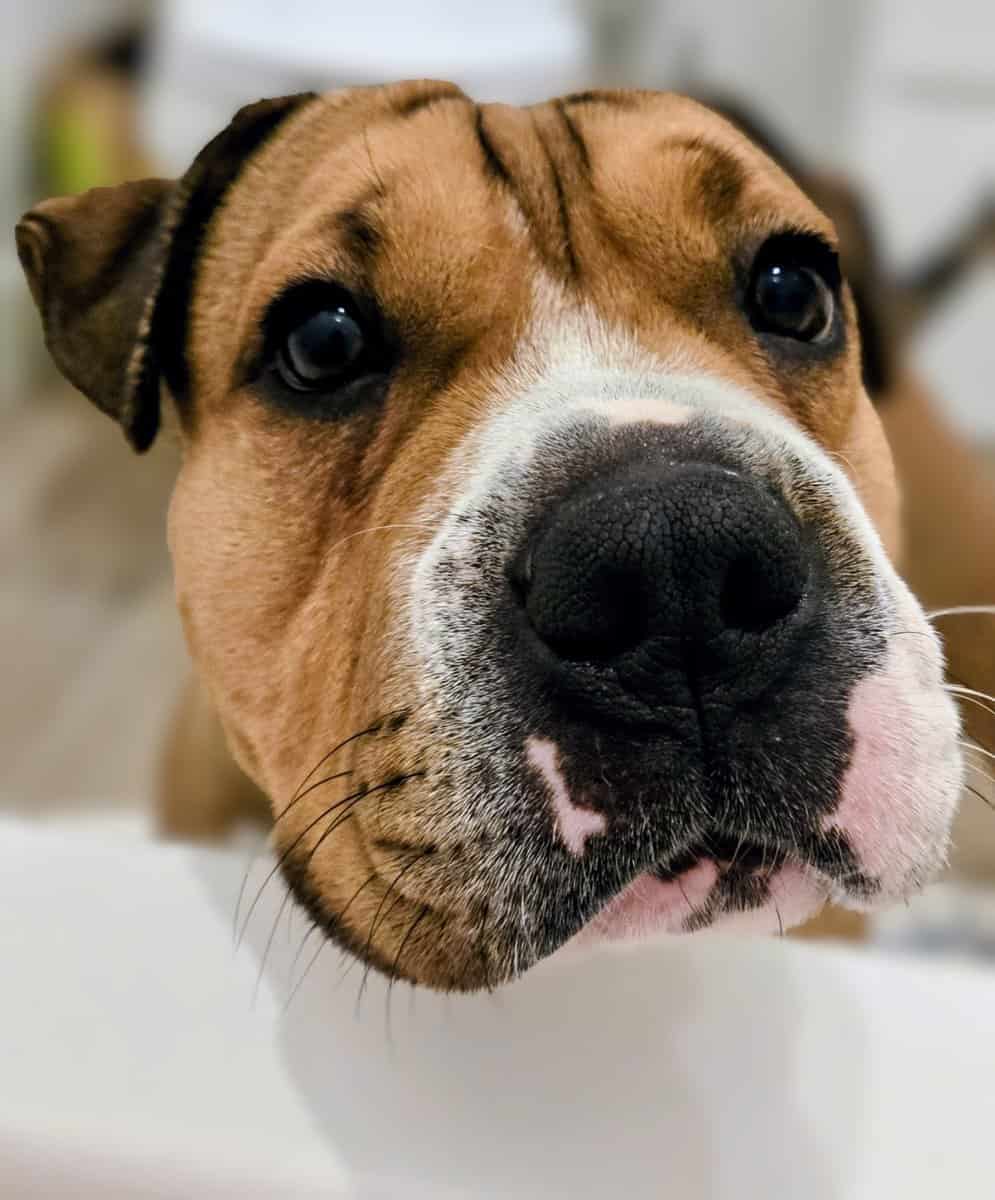 🚨WRINKLE ALERT 🚨 image 8