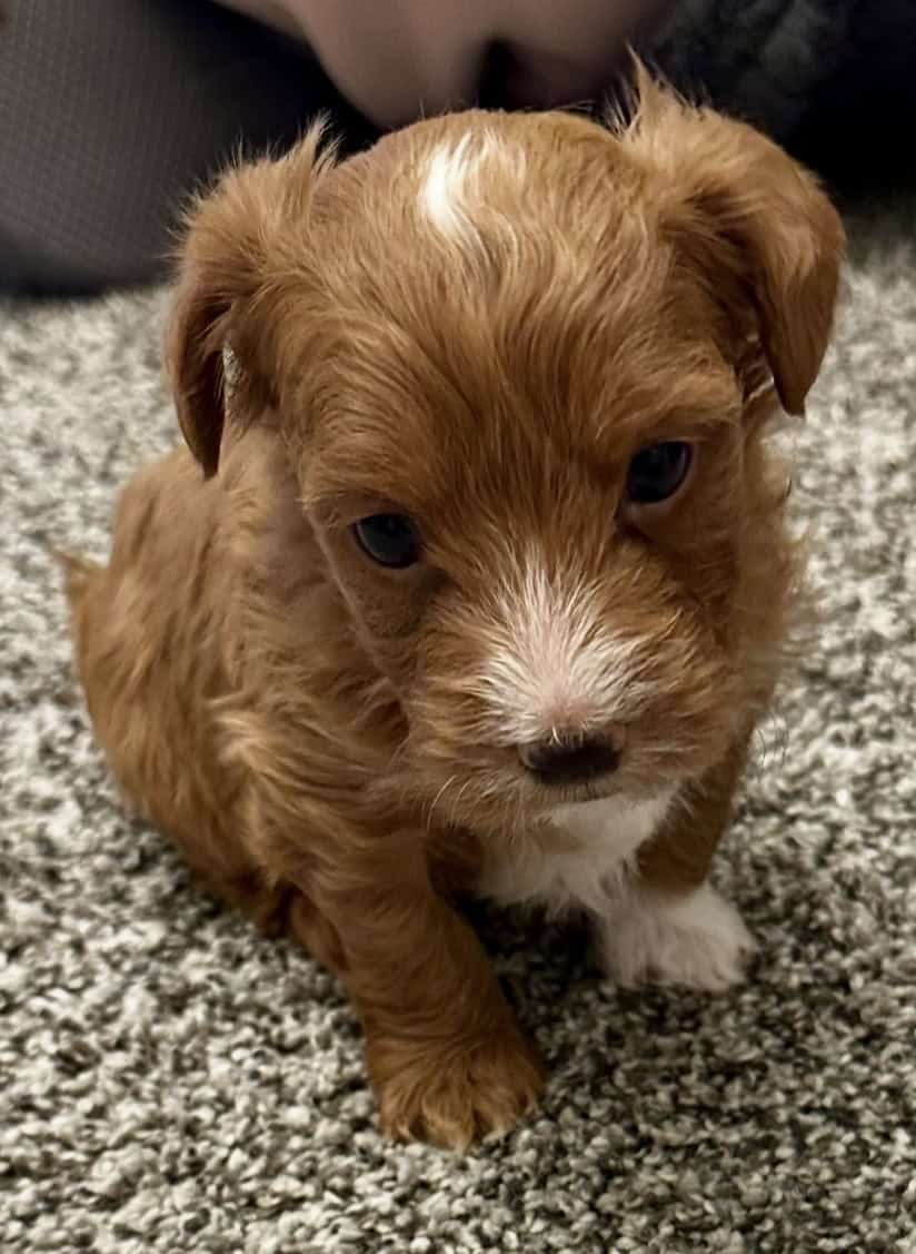 CUTE AS CAN BE image 1