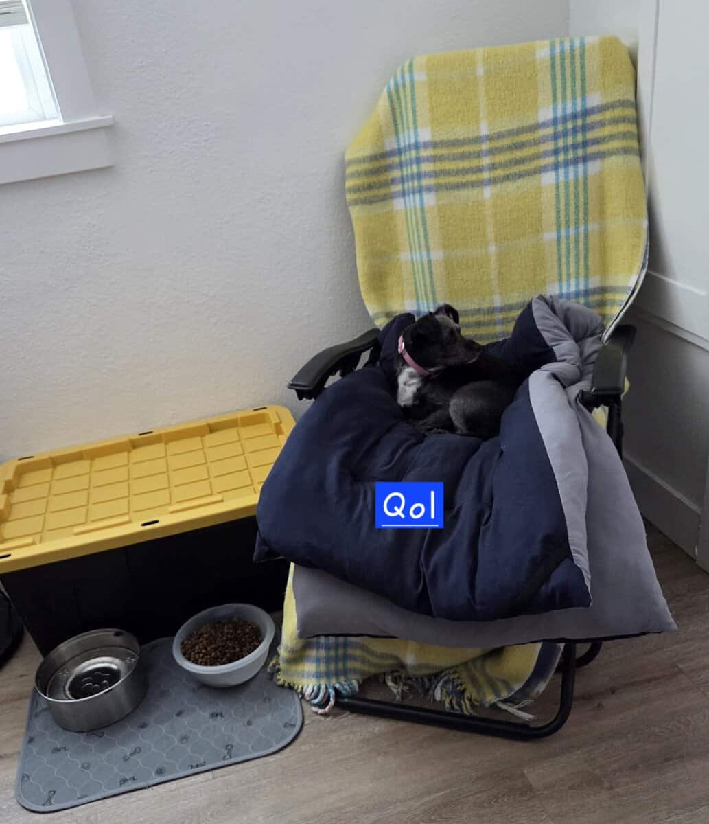 Looking for new home - Qol(Coal) image 10