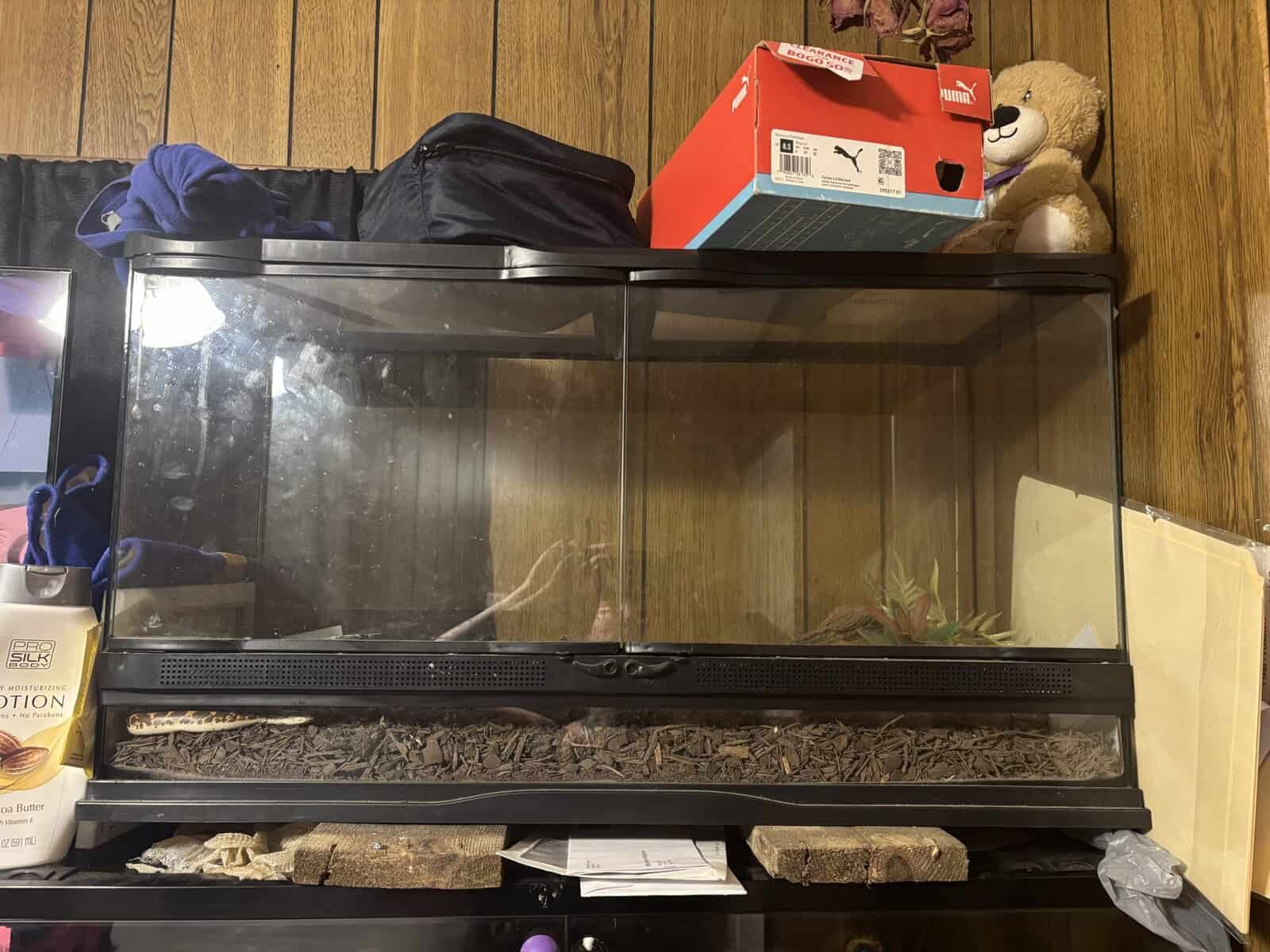 Tank and all setup and Dodoma sand boa image 5