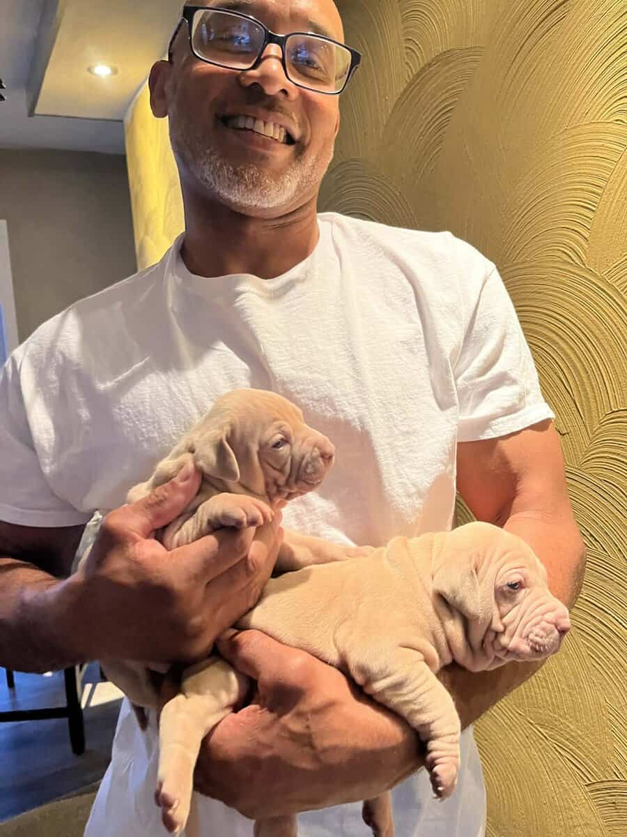 Beautiful 5 week old Red Nose American pittbulls image 2