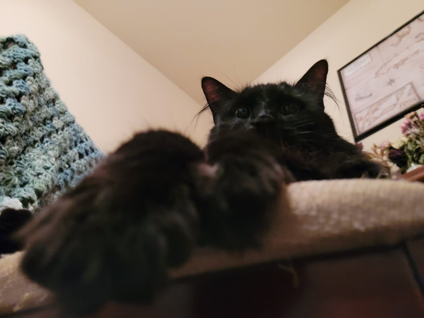 Salem image 2