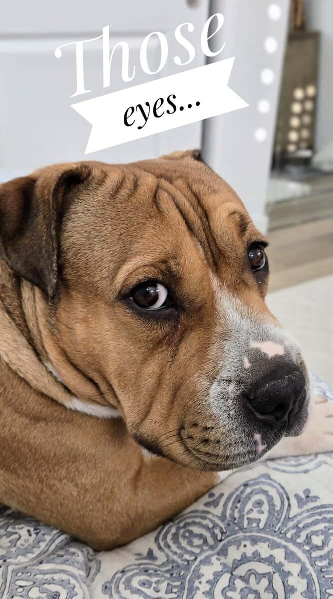 🚨WRINKLE ALERT 🚨 image 7
