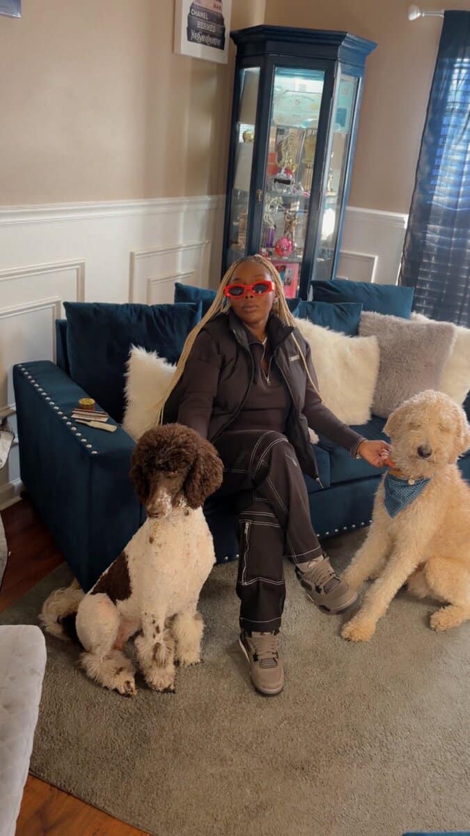 Poodle 🐩 image 2