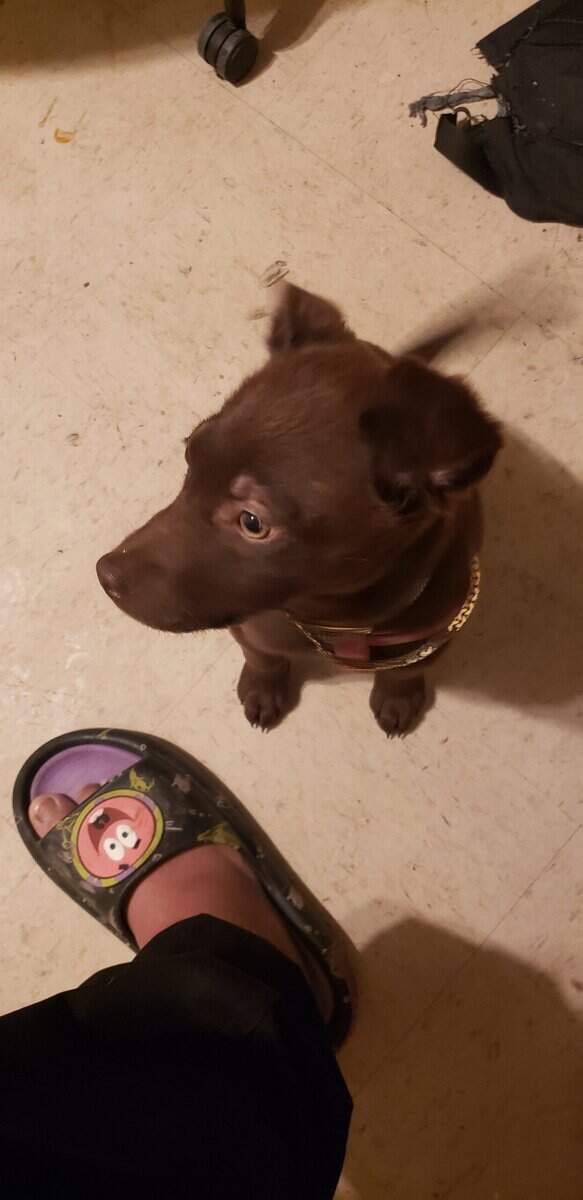 Meet Hazel image 4