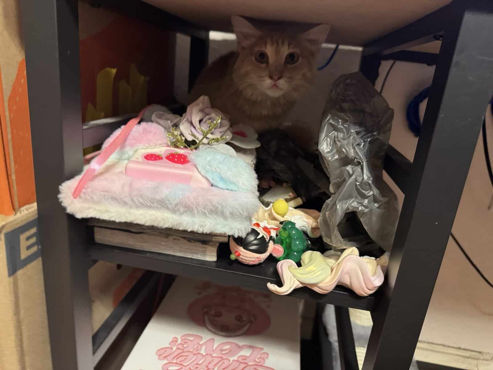 Mochi image 4
