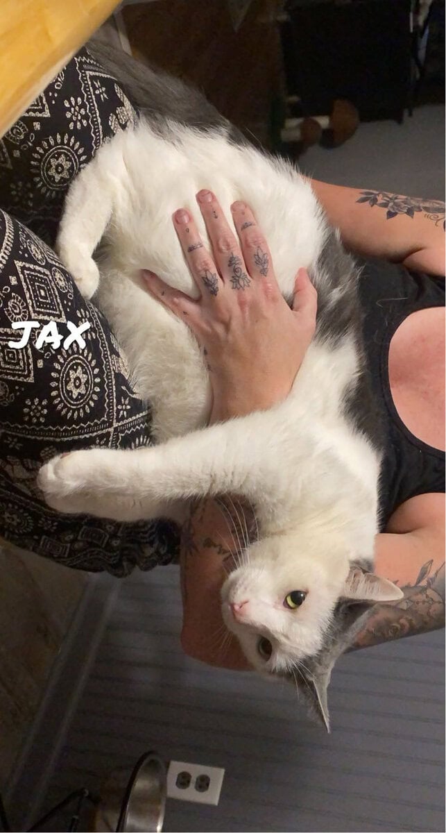 Jax needs a home image 2