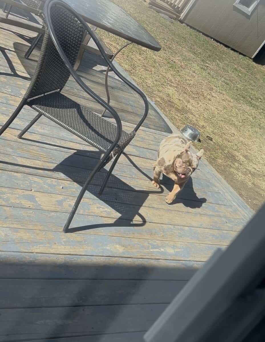 Open for stud image 1