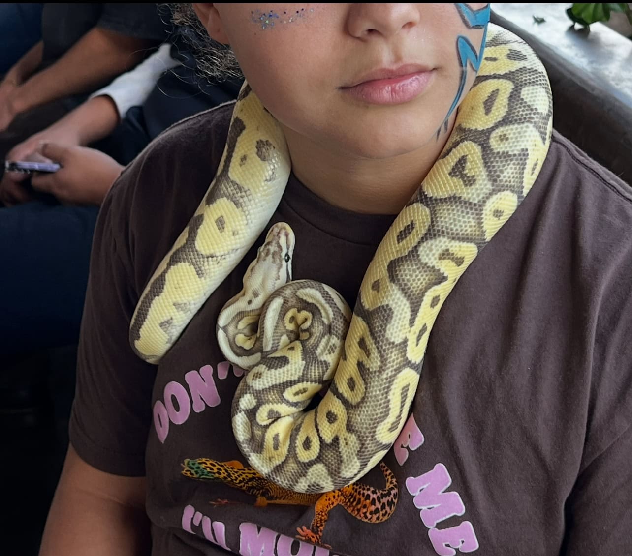 Ball Python and accessories image 2