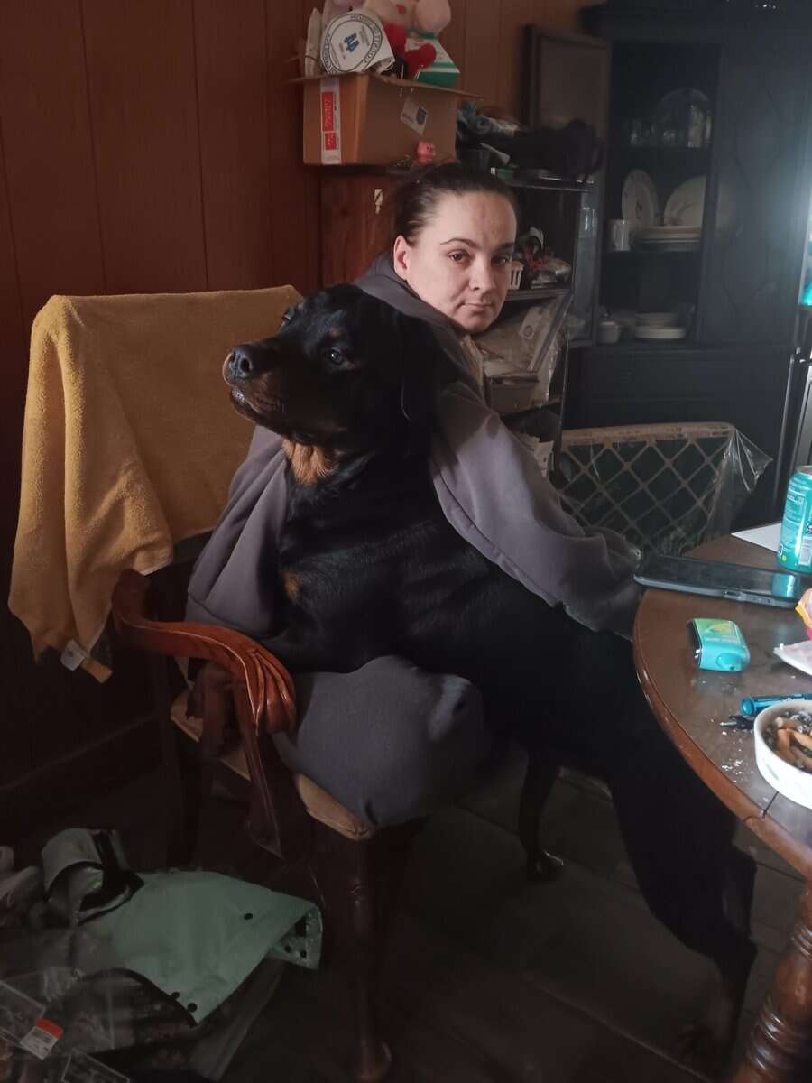 She needs a loving home! image 2