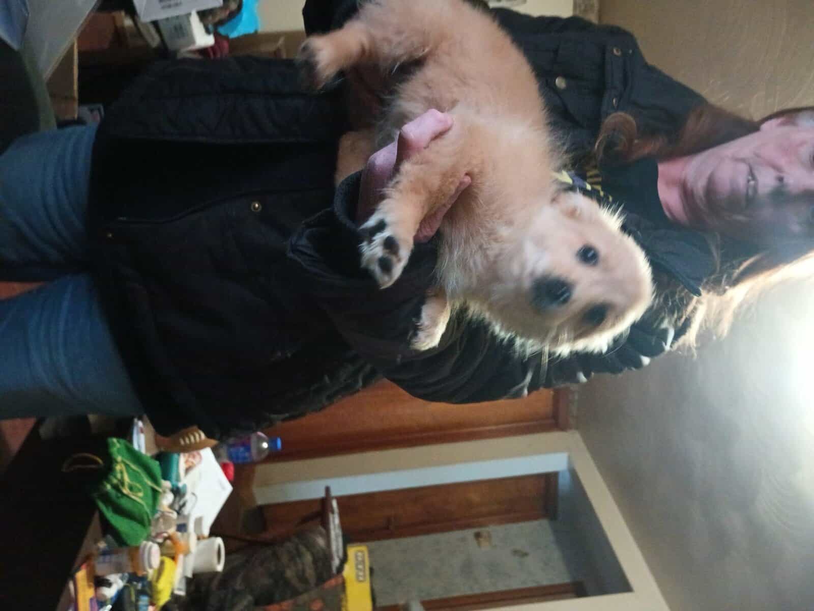 Frank image 3