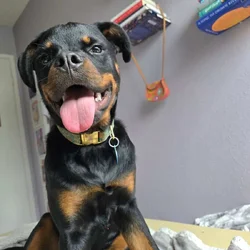 Winston (Winnie)