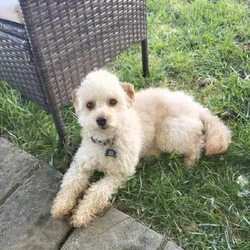 Looking for a new home