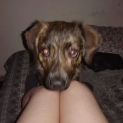 Please help her find a home!!