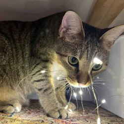 Part Explorer, Part Foodie, 100% Loyal: Meet Baby!