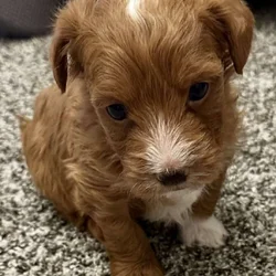 CUTE AS CAN BE