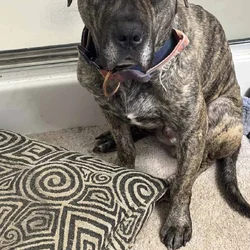 Need a new home