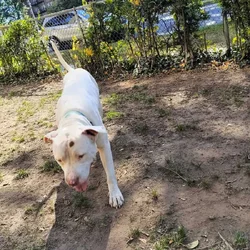 Looking for a home
