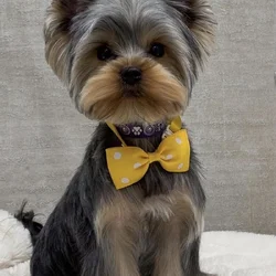 Male 10 mths