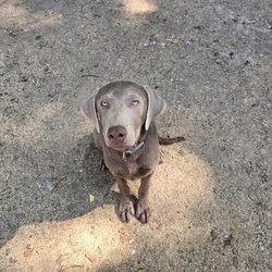 Ghost Looking For Perfect Person