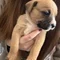 Thumbnail 13