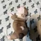 Thumbnail 14