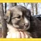 Thumbnail 17
