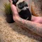 Thumbnail 15
