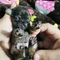 Thumbnail 18