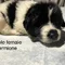 Thumbnail 16