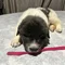 Thumbnail 21