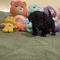 Thumbnail 13