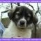 Thumbnail 15