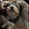 Thumbnail 14