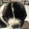 Thumbnail 18