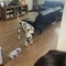 Thumbnail 13