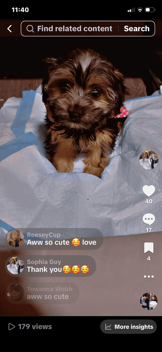 6 month old image 2