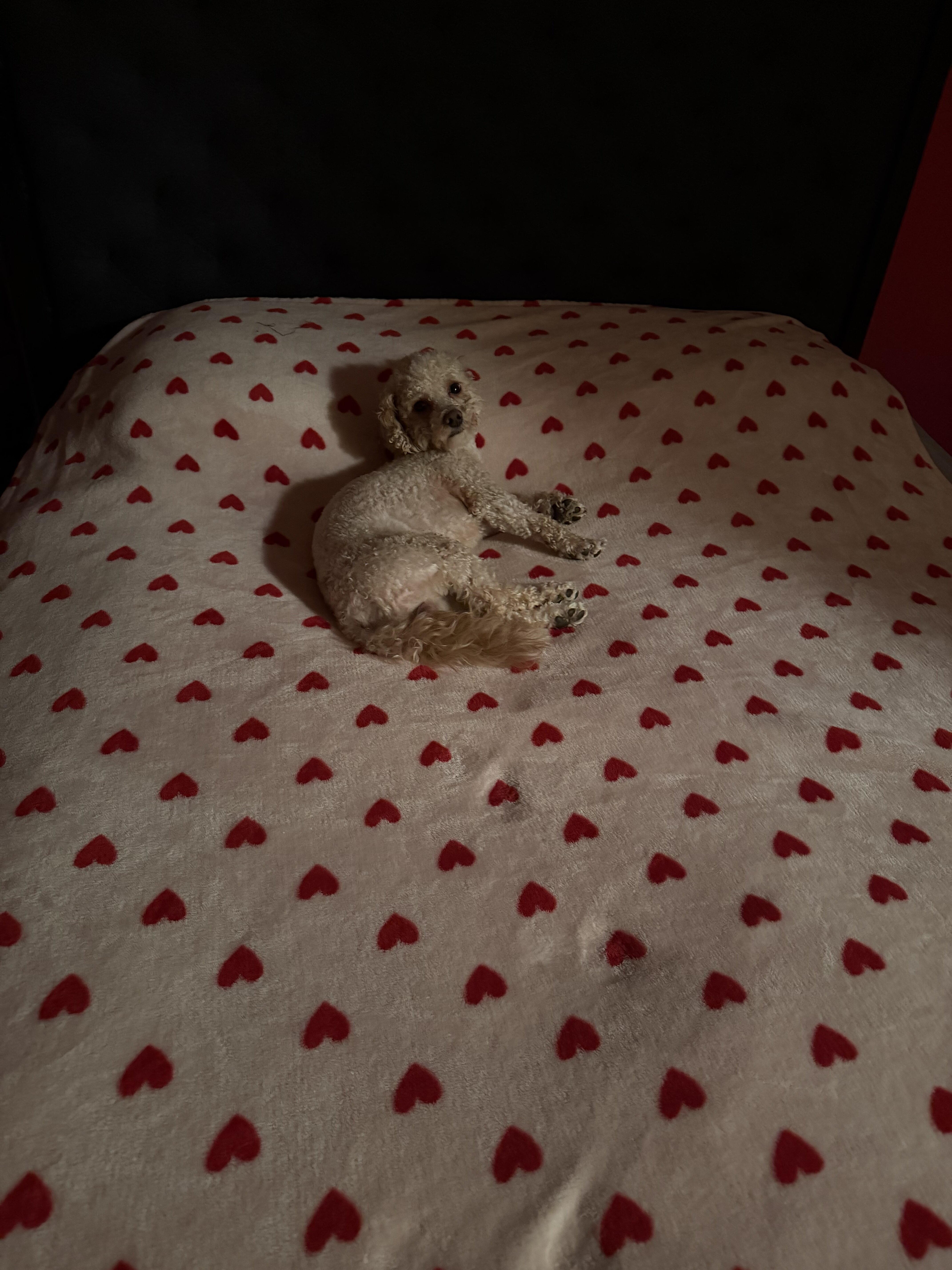 Loving, Adorable Mr.Chai image 4