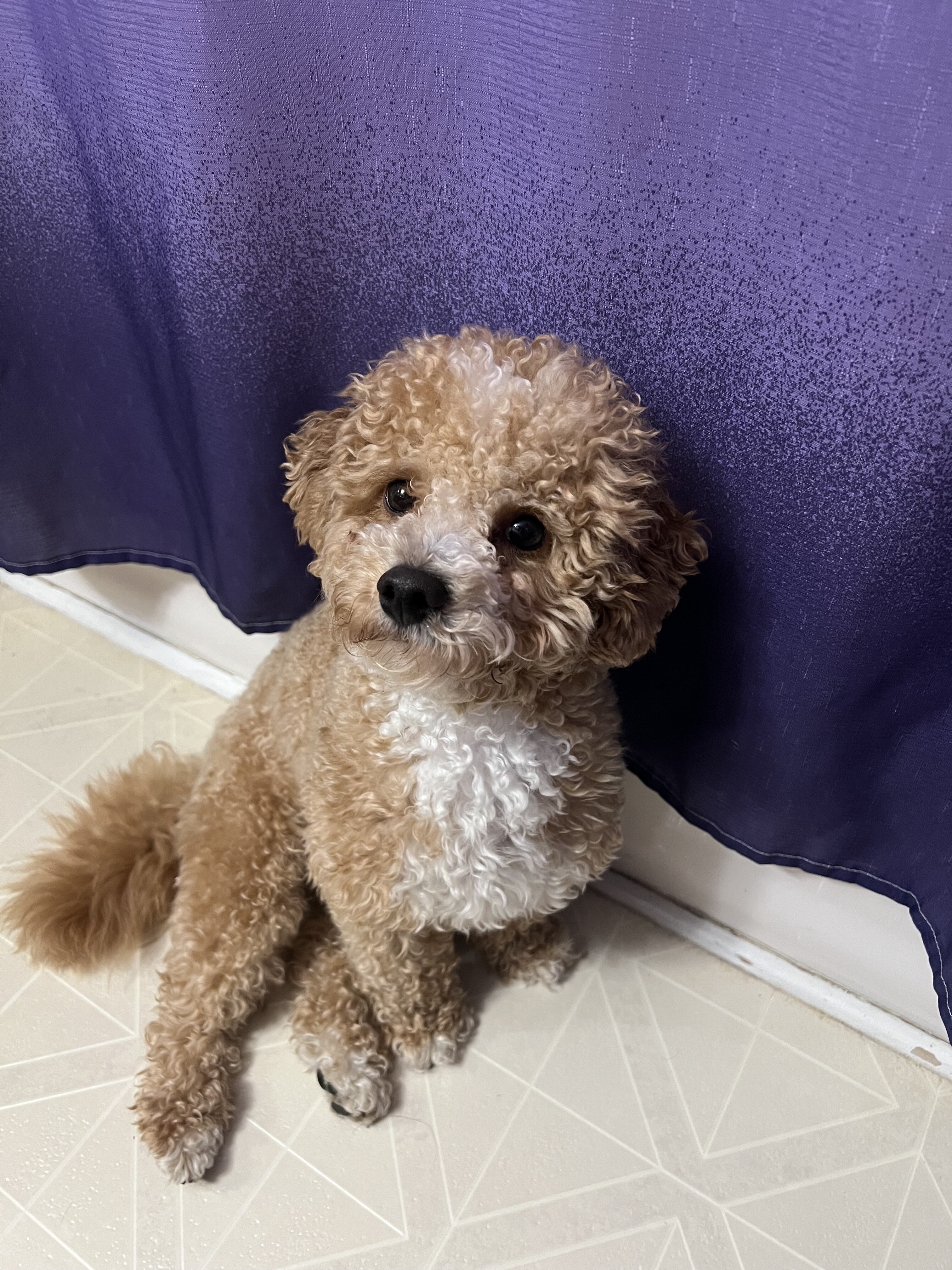 Loving, Adorable Mr.Chai image 3