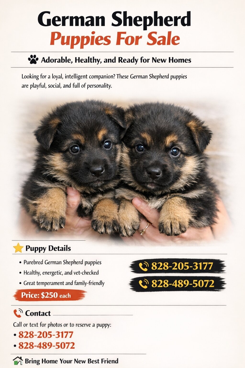 German shepherd puppies image 3