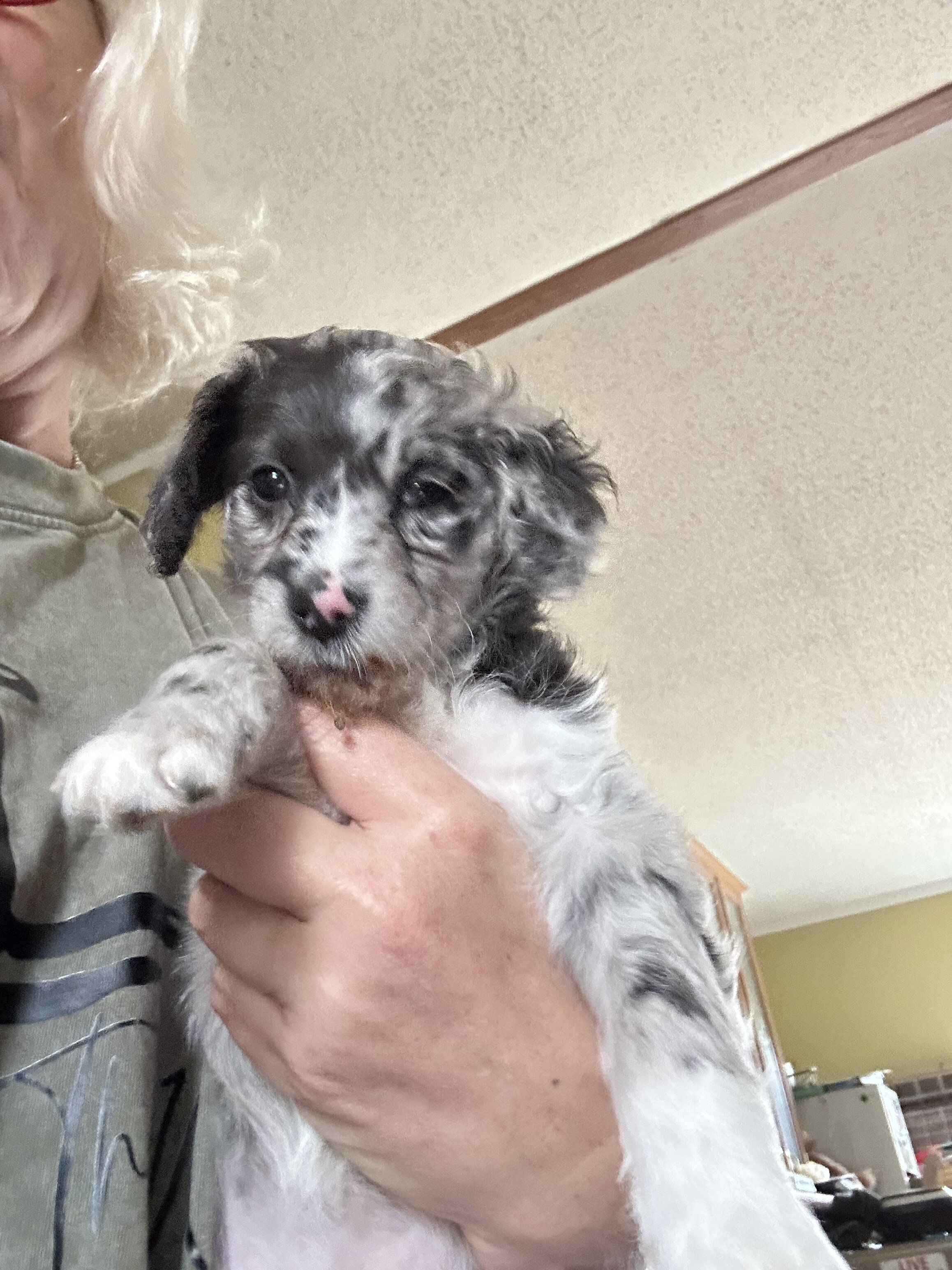 Minnie image 4