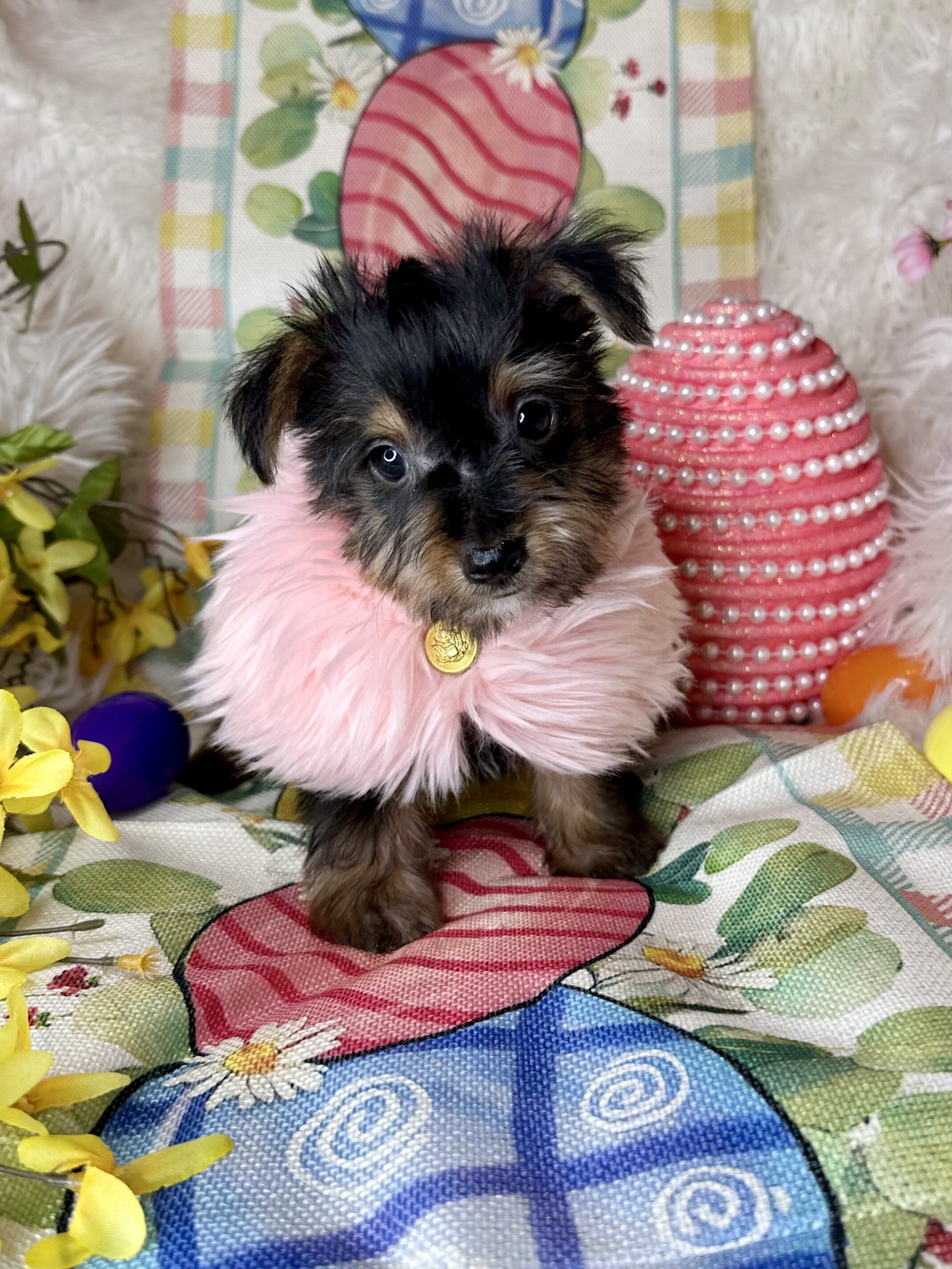Betsy💕 image 4