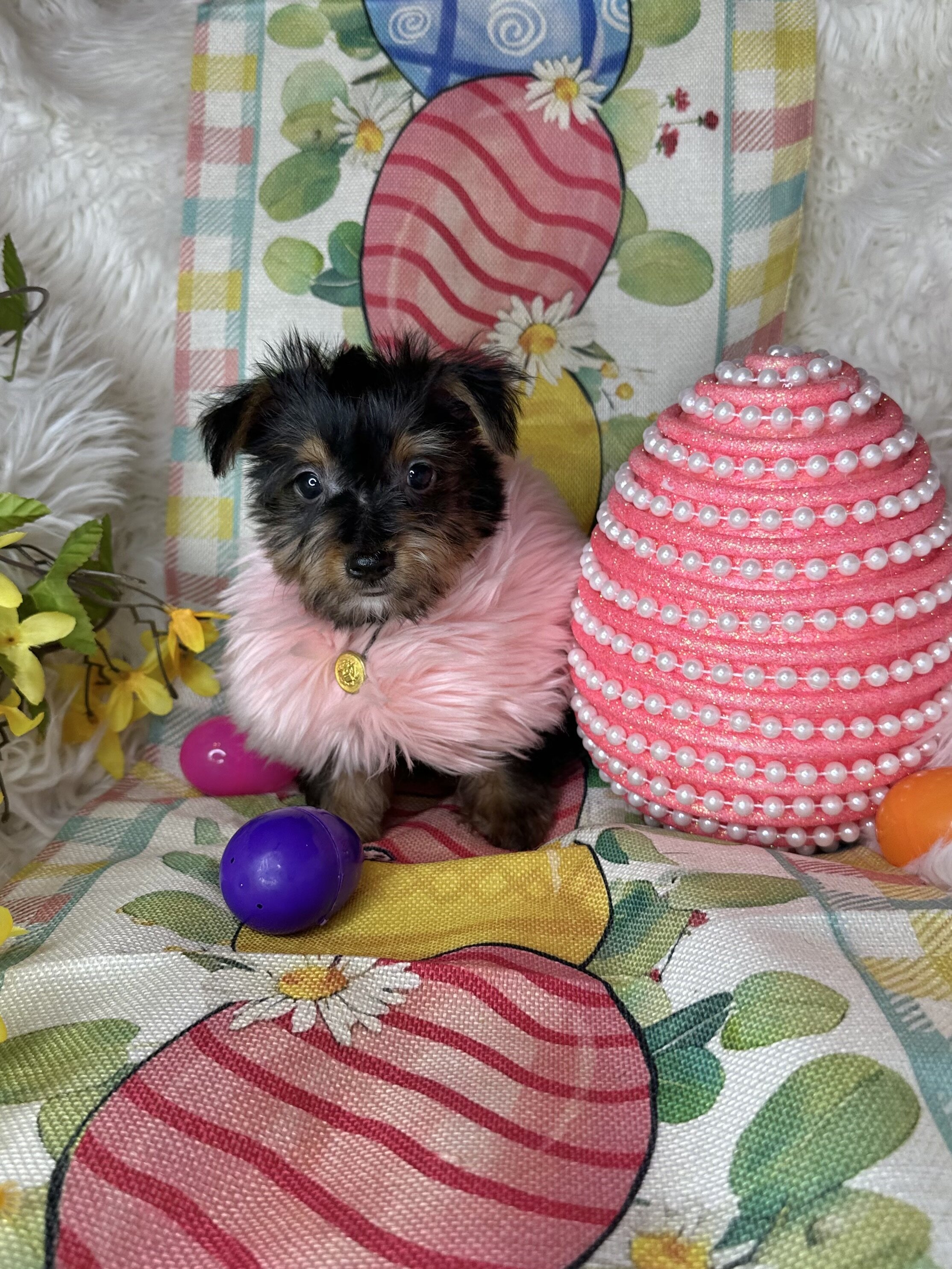 Betsy💕 image 5