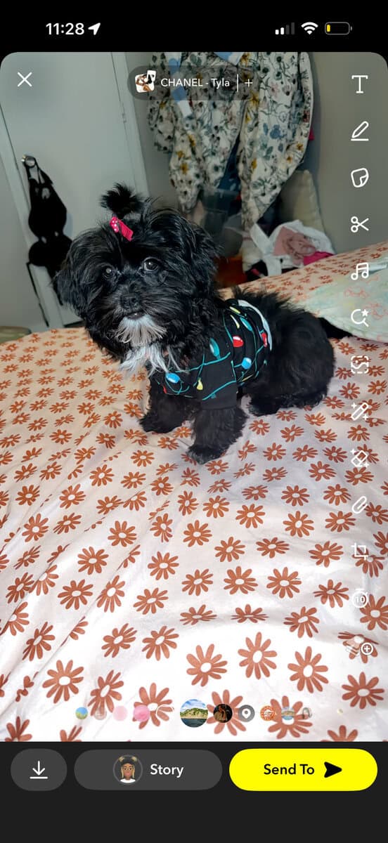 Bella Mae image 4