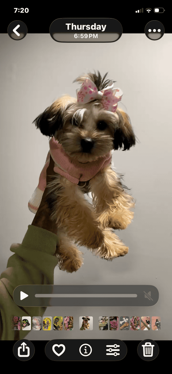 6 month old image 1