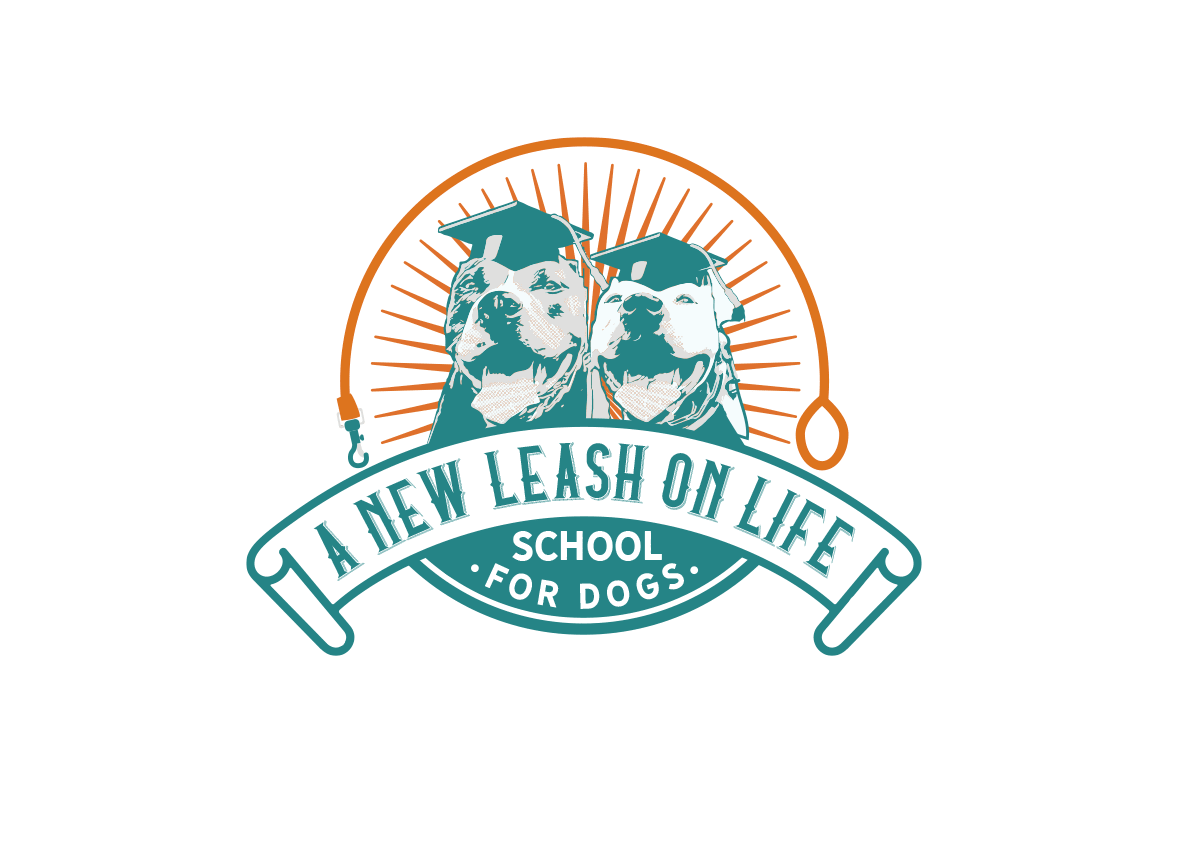 A New Leash on Life - School for Dogs image 1