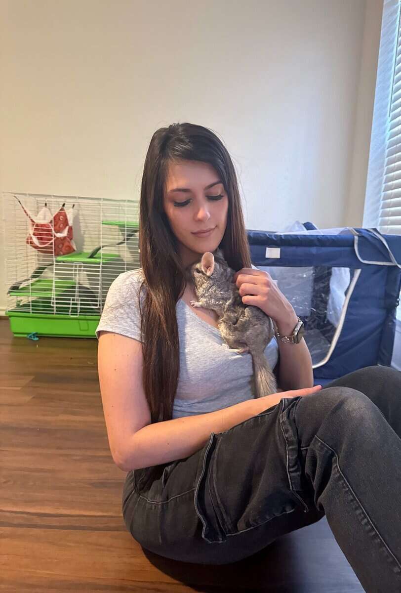 Female chinchilla w/ Full Set up image 2
